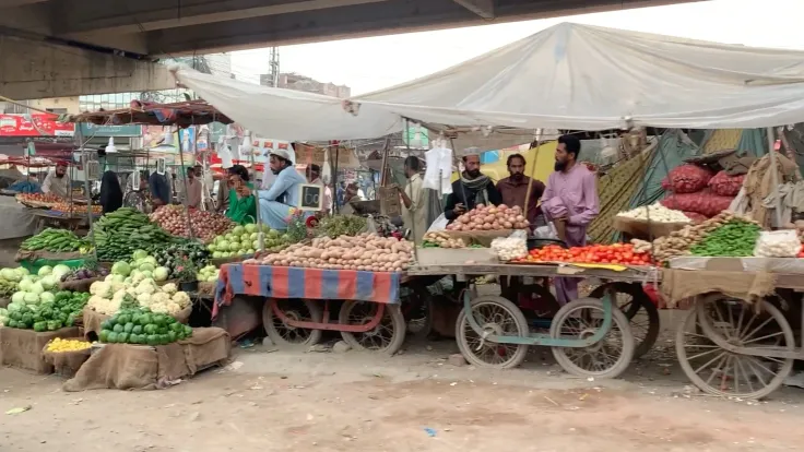 The Vivacious Fruit Market A Symphony of Colors and Flavors